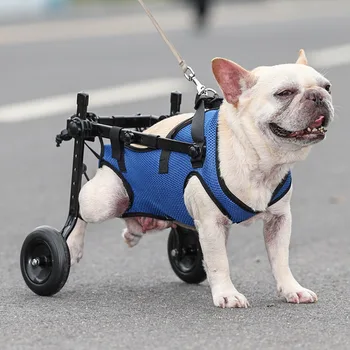 Luz Ajustável Cão Cadeira De Rodas Cão De S/M/L Pernas Ajustáveis Em Reabilitação De Trem Animal De Estimação Pé Ferramentas De Animal De Estimação